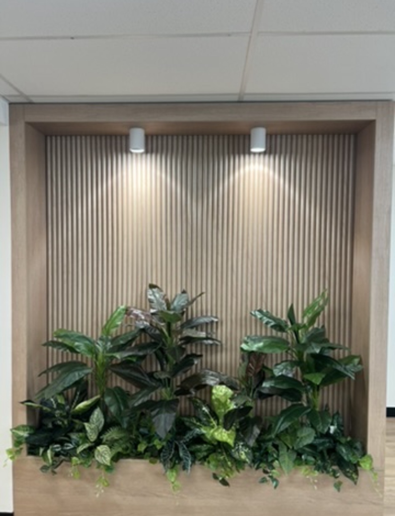 Feature lighting install